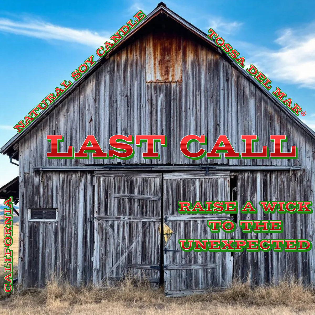LAST CALL Soy Candle - Raise a Wick to the Unexpected